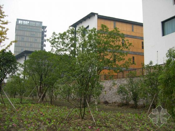 张湾2017中国美术学院象山alc板材蒸压加气混凝土板材
