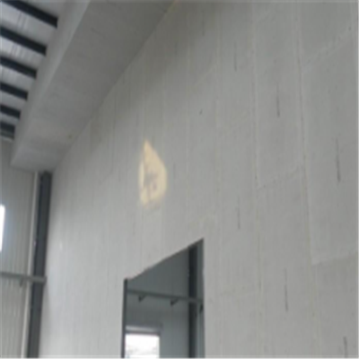 张湾宁波ALC板|EPS加气板隔墙与混凝土整浇联接的实验研讨